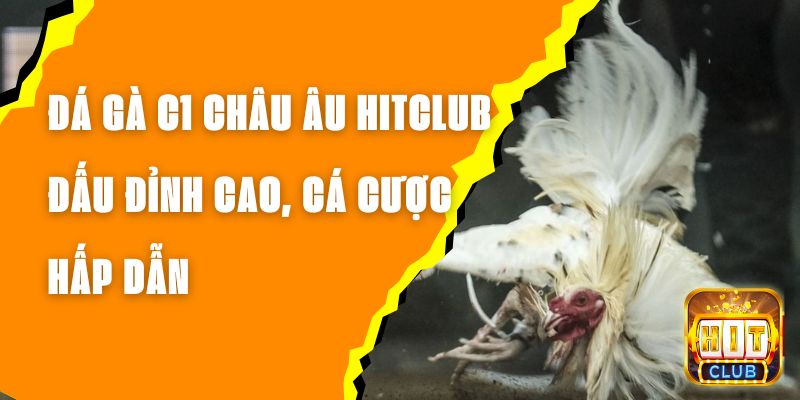 Đá Gà C1 Châu Âu Hitclub - Đấu Đỉnh Cao, Cá Cược Hấp Dẫn